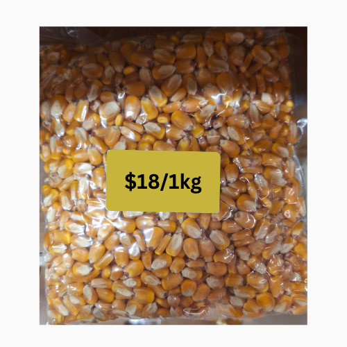 Ideal for cooking, salads, and more, these high-quality corn kernels add a burst of freshness to your dishes.