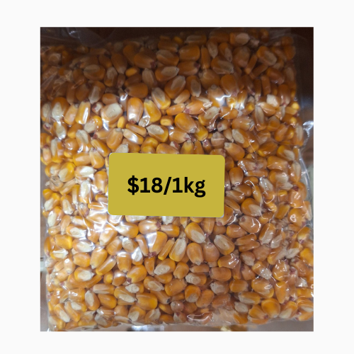  Ideal for cooking, salads, and more, these high-quality corn kernels add a burst of freshness to your dishes.